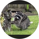 Izzy L. profile picture